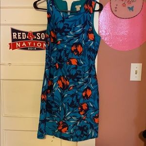 J. Crew dress